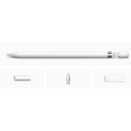Apple Pencil（第1世代）USB-C - Apple Pencilアダプタ付き [MQLY3J/A]