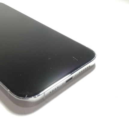 iPhone 14 Pro Max / 2022 / 1TB / シルバー / 国内版SIMフリー / ランク:C / MQ9L3J/A / A2893 【中古品管理番号:38970】