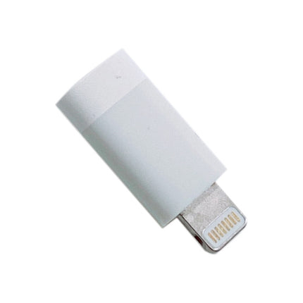 microUSB-B - Lightning変換アダプター [LM Adapter]