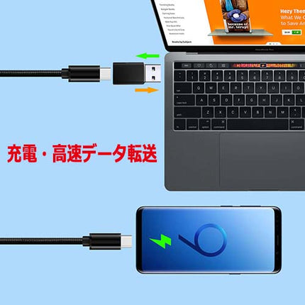 USB3.1 Gen2 USB Type-Cメス - USB-Aオス 変換アダプタ [LAD-OG2AMCF]